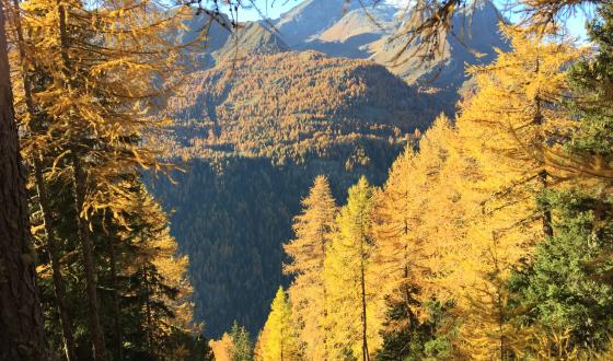 Trekking in montagna... anche con Guide della Natura